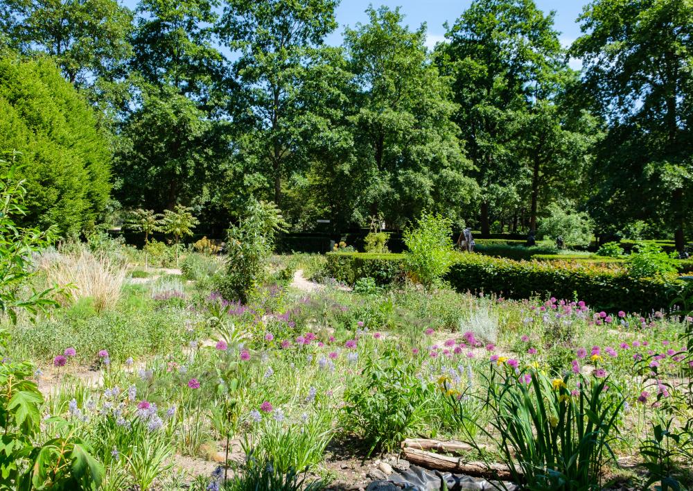 Bloemenpluktuin